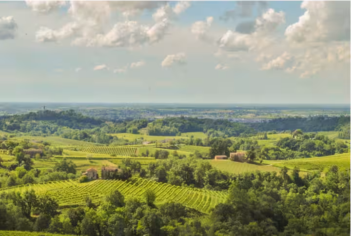 View from La Torre di Rua window - Prosecco Hills vineyards panorama Treviso Veneto Italy